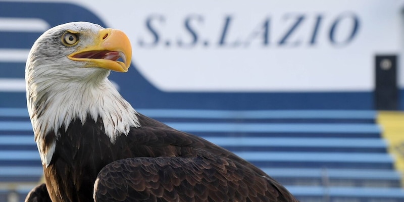 Lazio presenta l'aquila: nuovo simbolo in volo verso la Brianza