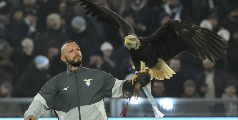 L'aquila Flaminia: quando potrà esibirsi all'Olimpico