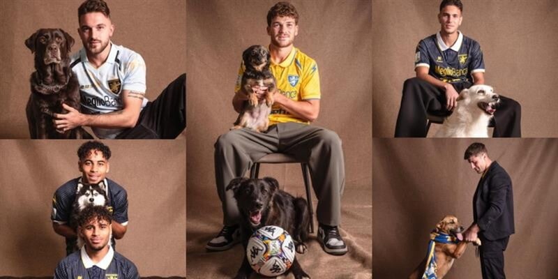 Frosinone lancia il calendario 2026 con figurine di cagnolini per una campagna solidale
