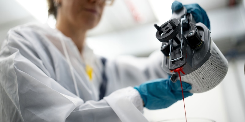 SEAT Ibiza e Arona: i nuovi colori Oniric e Liminal già disponibili e in arrivo